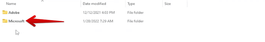 Selecting the "Microsoft" folder